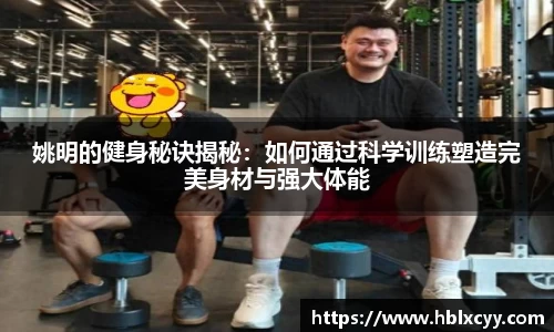 YY SPORTS
