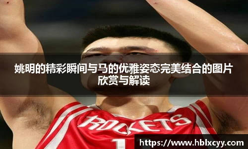 姚明的精彩瞬间与马的优雅姿态完美结合的图片欣赏与解读