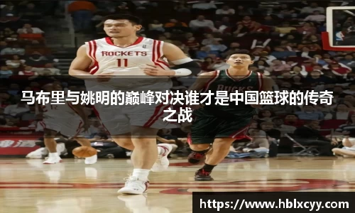 马布里与姚明的巅峰对决谁才是中国篮球的传奇之战